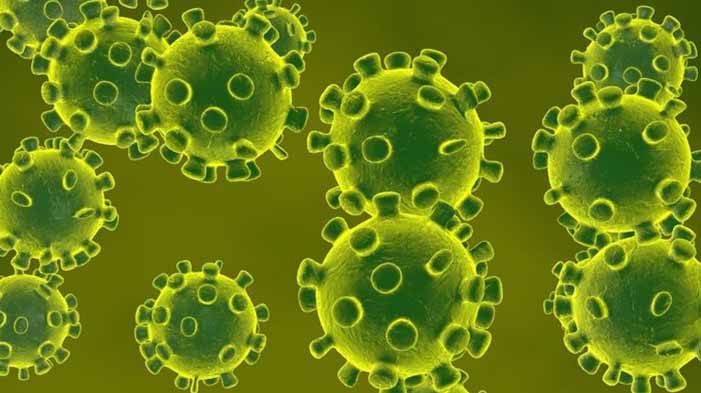 Ini Langkah Pemprov Banten Antisipasi Penyebaran Virus Corona